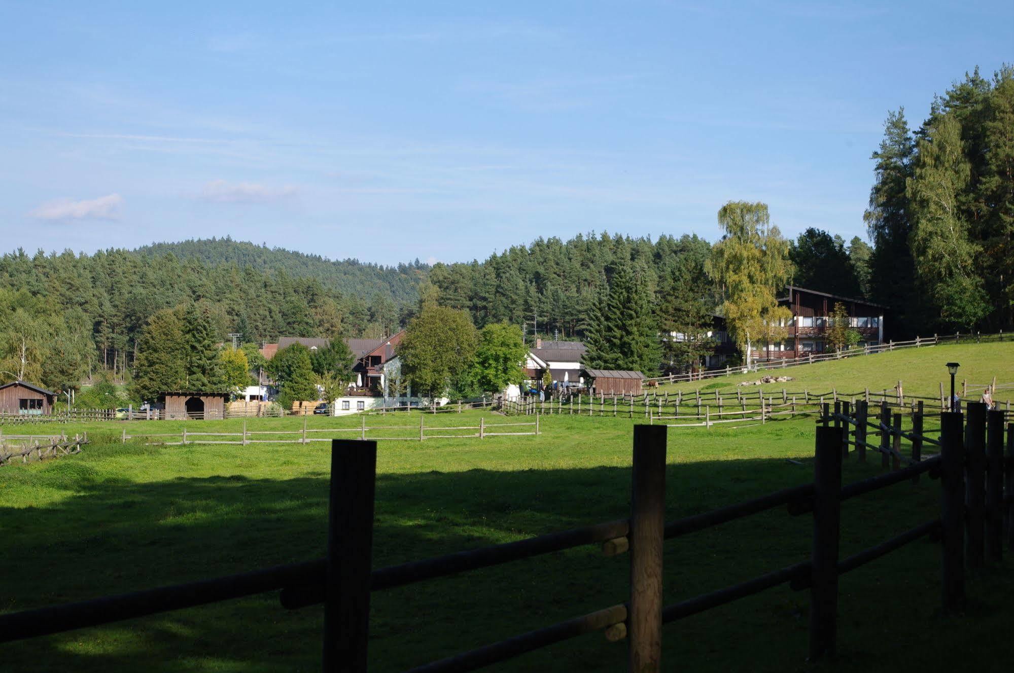 Waldhotel Baechlein Mitwitz Экстерьер фото